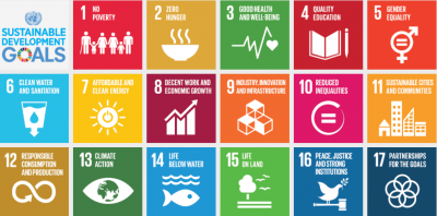 Sustainable Development Goals in the Agenda 2030